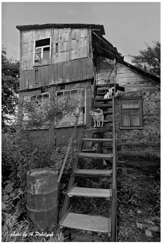 Фотографія **** / Anatoliy Pohilyuk / photographers.ua