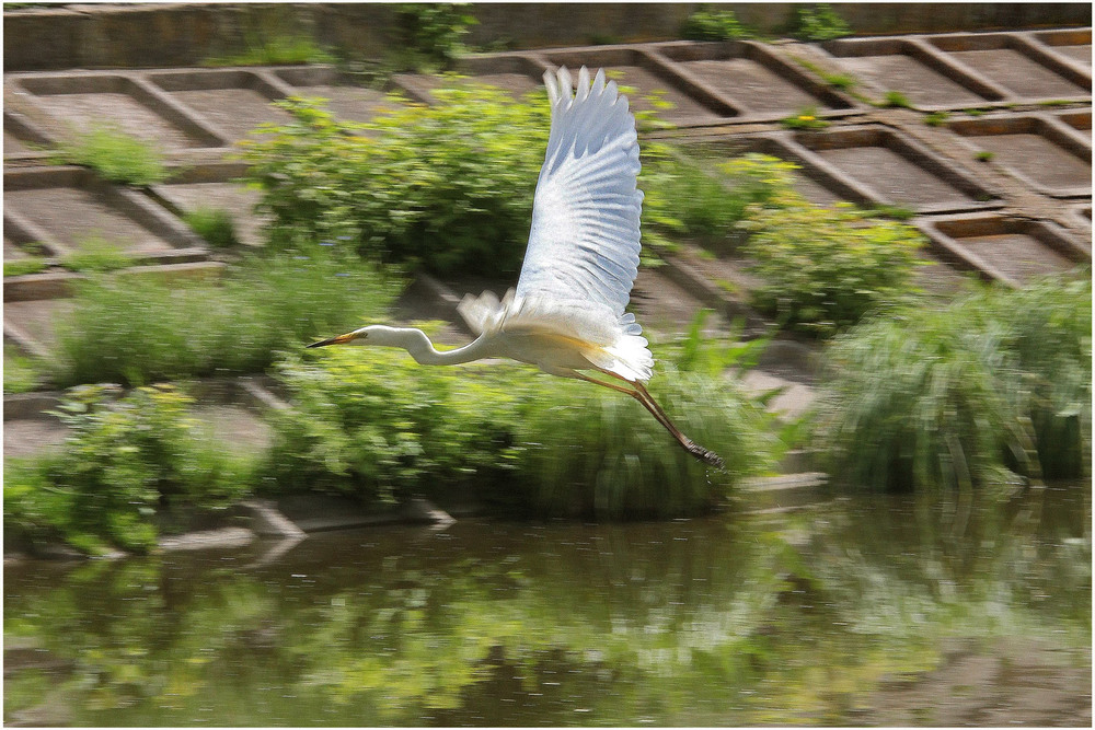 Фотографія **** / Anatoliy Pohilyuk / photographers.ua