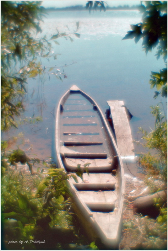 Фотографія На берегах о.Нобель / Anatoliy Pohilyuk / photographers.ua