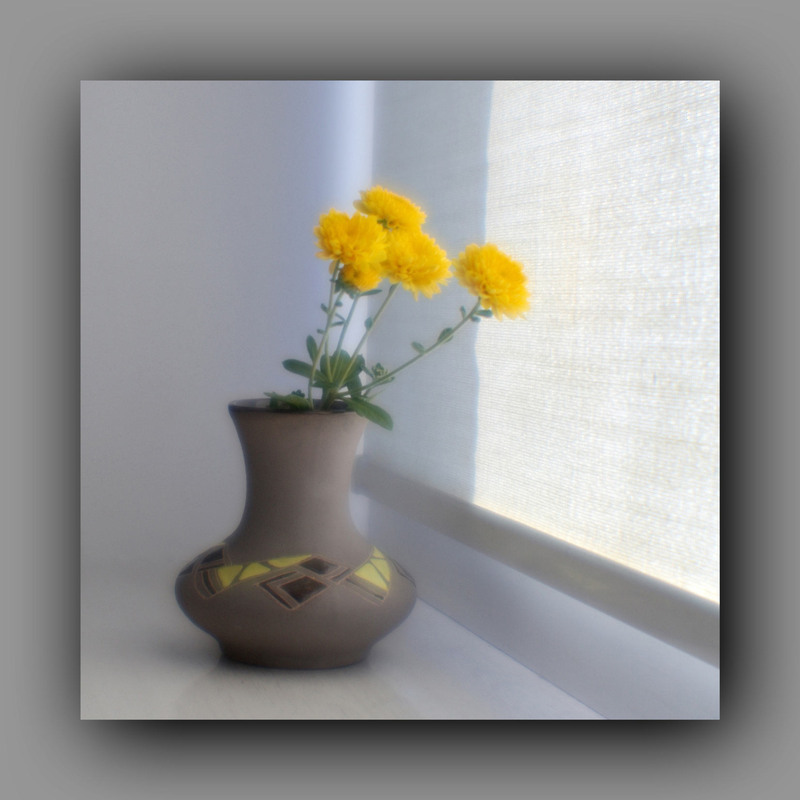 Фотографія **** / Anatoliy Pohilyuk / photographers.ua