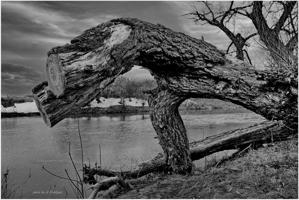 Фотографія На берегах р.Горинь / Anatoliy Pohilyuk / photographers.ua