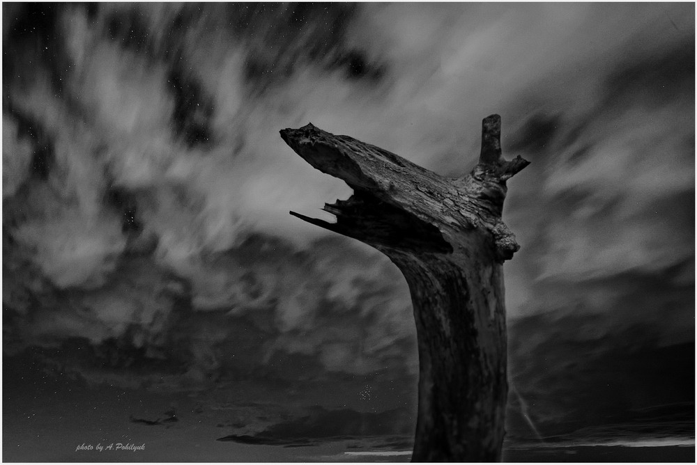 Фотографія На берегах р.Горинь / Anatoliy Pohilyuk / photographers.ua