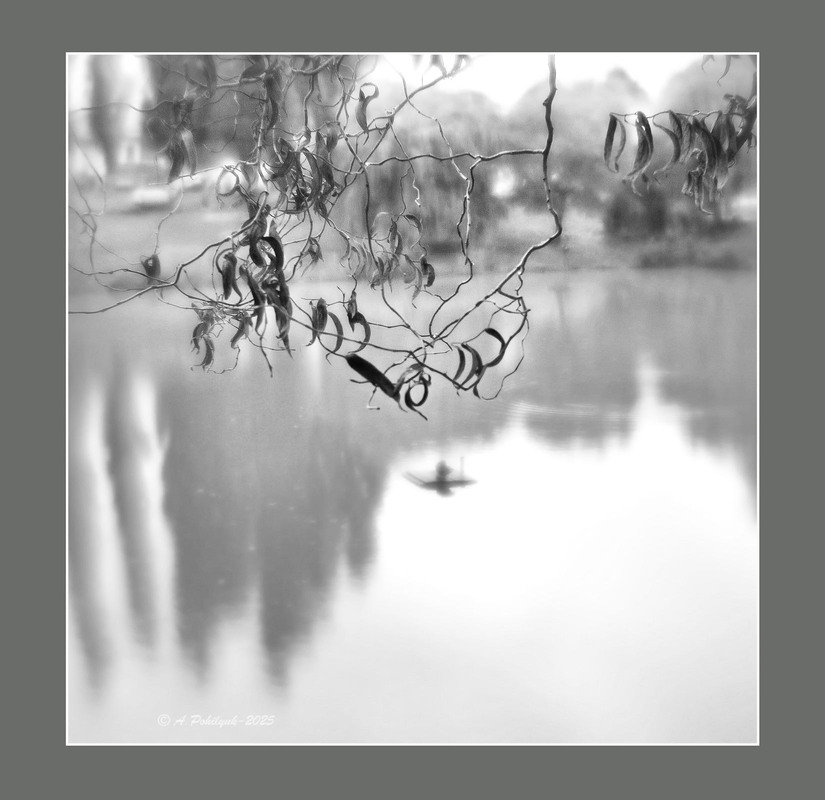 Фотографія **** / Anatoliy Pohilyuk / photographers.ua