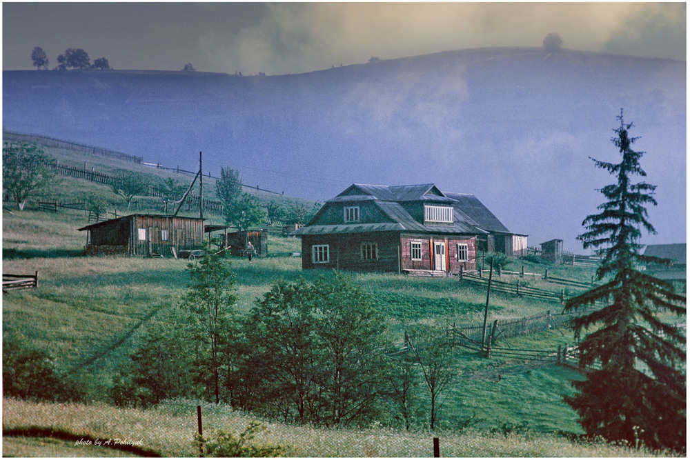 Фотографія **** / Anatoliy Pohilyuk / photographers.ua