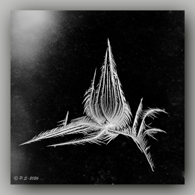 Фотографія **** / Anatoliy Pohilyuk / photographers.ua