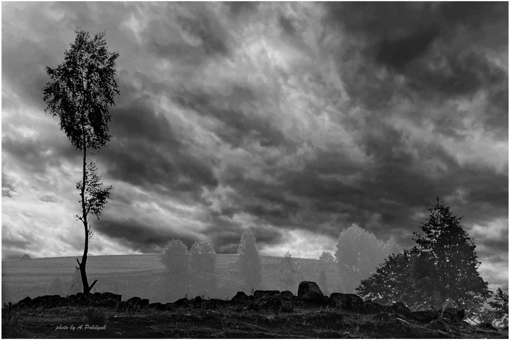 Фотографія **** / Anatoliy Pohilyuk / photographers.ua