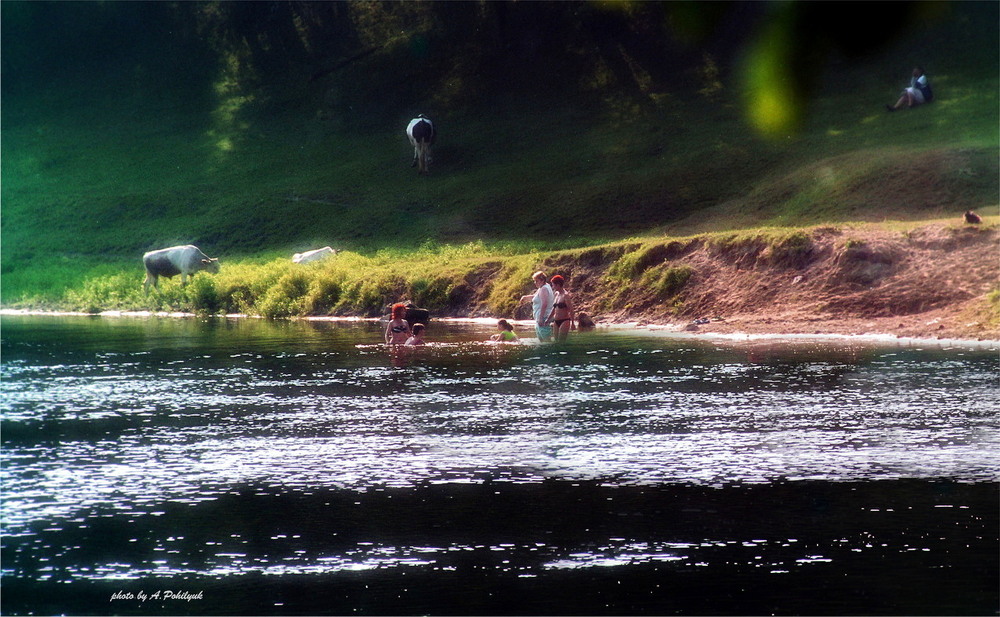 Фотографія **** / Anatoliy Pohilyuk / photographers.ua