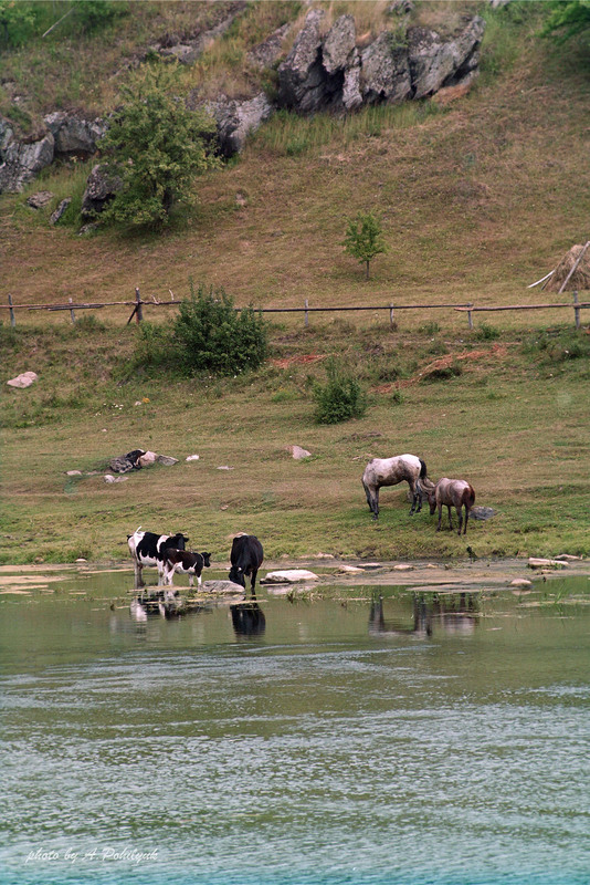 Фотографія **** / Anatoliy Pohilyuk / photographers.ua