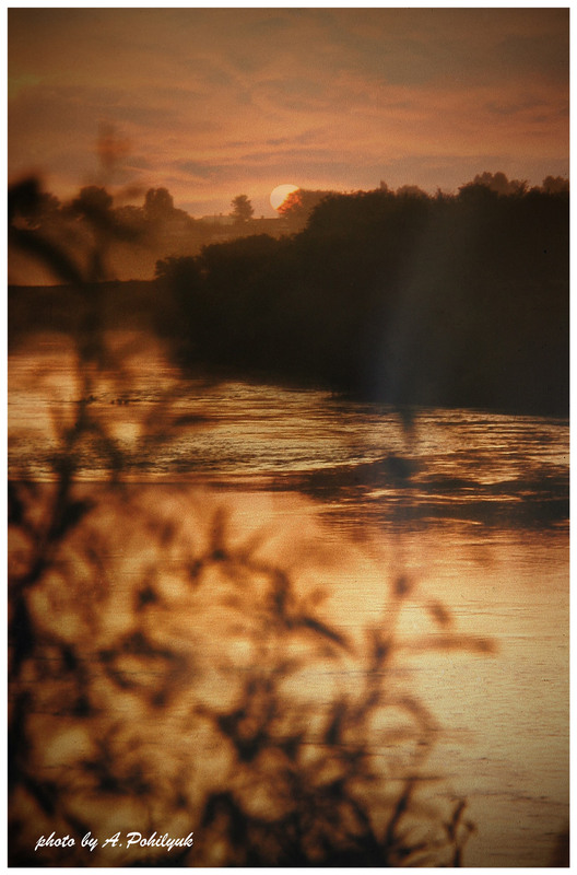 Фотографія На берегах р.Горинь / Anatoliy Pohilyuk / photographers.ua