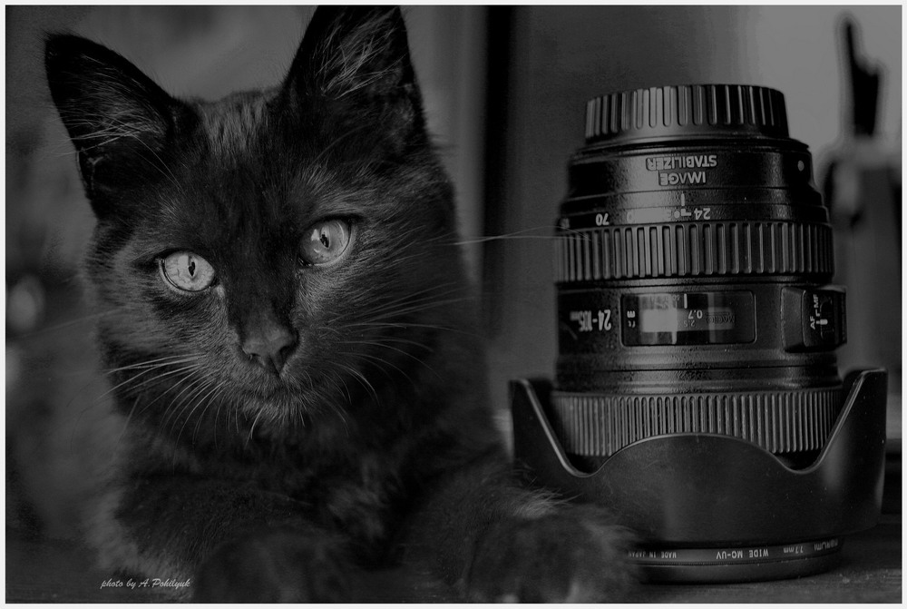 Фотографія **** / Anatoliy Pohilyuk / photographers.ua