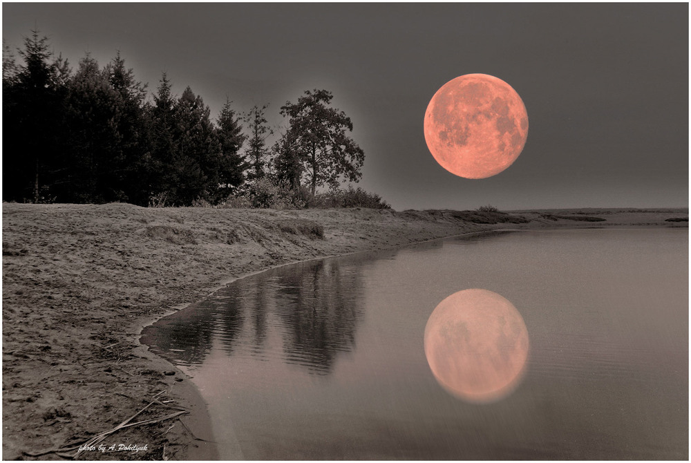 Фотографія **** / Anatoliy Pohilyuk / photographers.ua