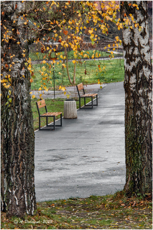 Фотографія **** / Anatoliy Pohilyuk / photographers.ua