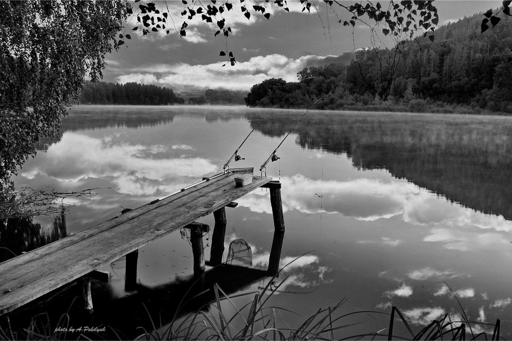 Фотографія **** / Anatoliy Pohilyuk / photographers.ua