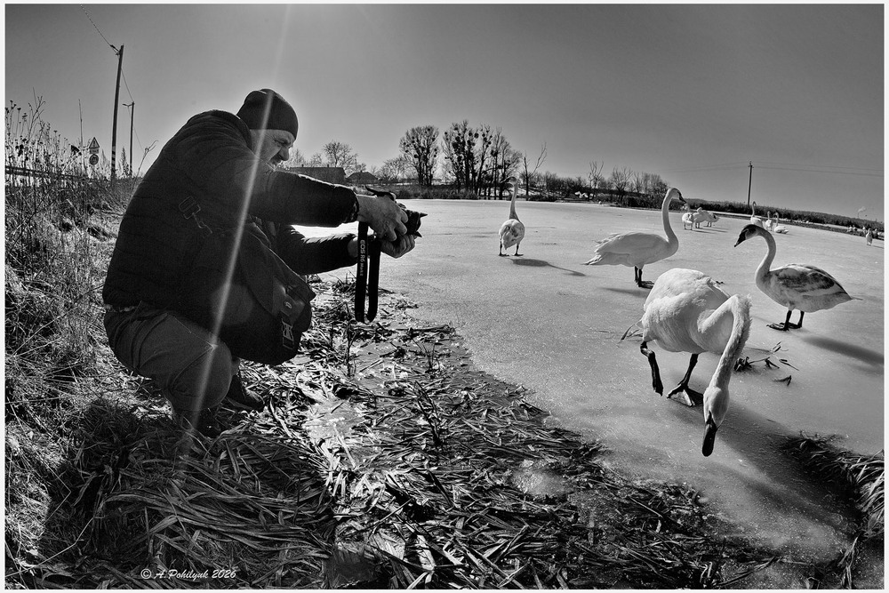 Фотографія The first day of spring... / Anatoliy Pohilyuk / photographers.ua