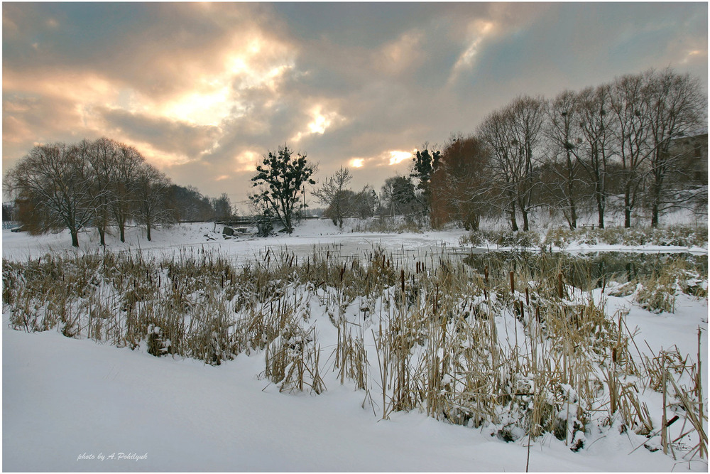 Фотографія **** / Anatoliy Pohilyuk / photographers.ua