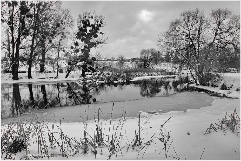 Фотографія **** / Anatoliy Pohilyuk / photographers.ua