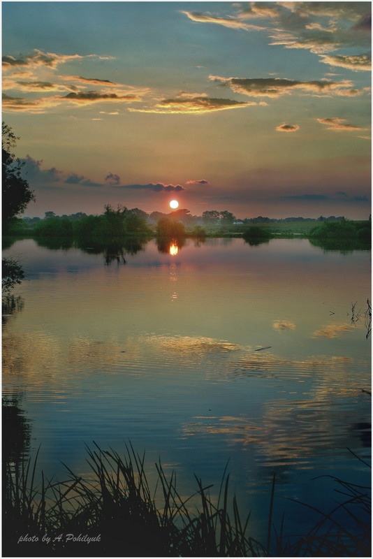 Фотографія **** / Anatoliy Pohilyuk / photographers.ua