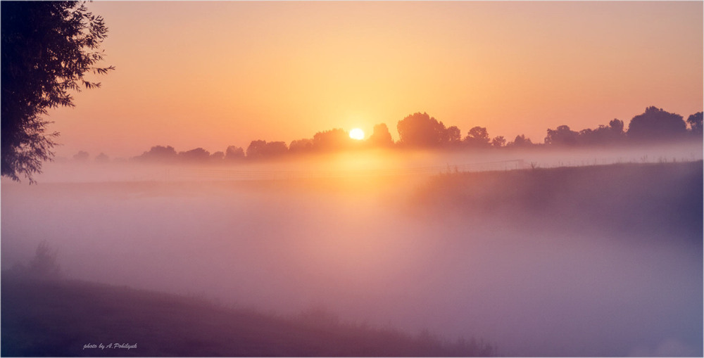 Фотографія **** / Anatoliy Pohilyuk / photographers.ua