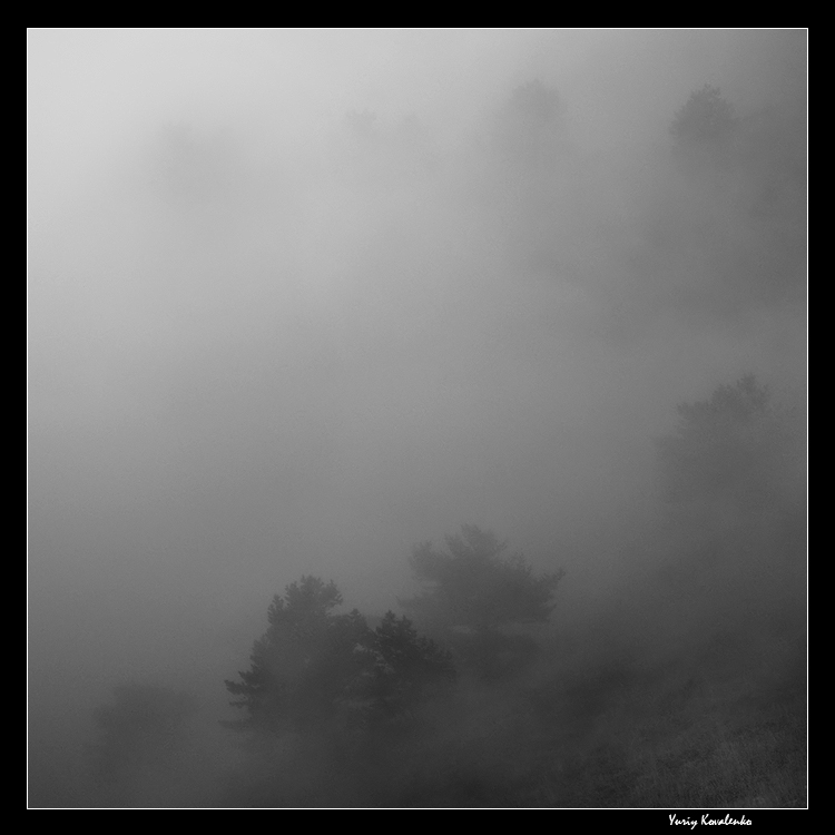 Фотографія ...fog... / Yuriy Kovalenko / photographers.ua
