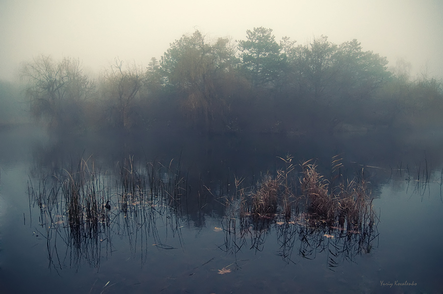 Фотографія Сумеречный туман / Yuriy Kovalenko / photographers.ua