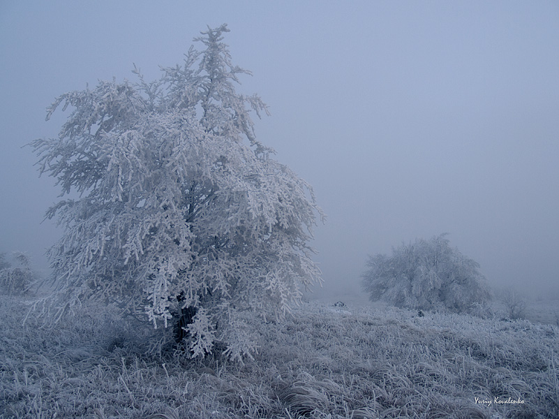 Фотографія Морозный вечер / Yuriy Kovalenko / photographers.ua