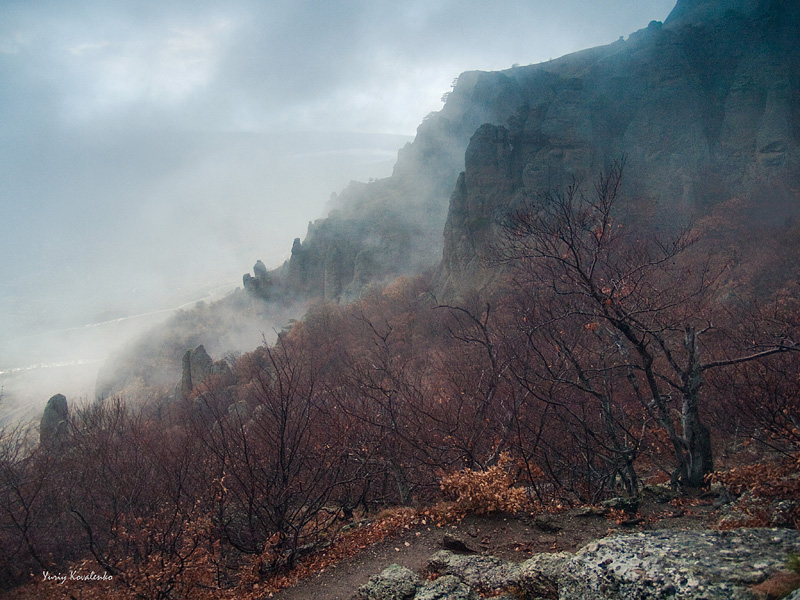 Фотографія Туманные сумерки / Yuriy Kovalenko / photographers.ua