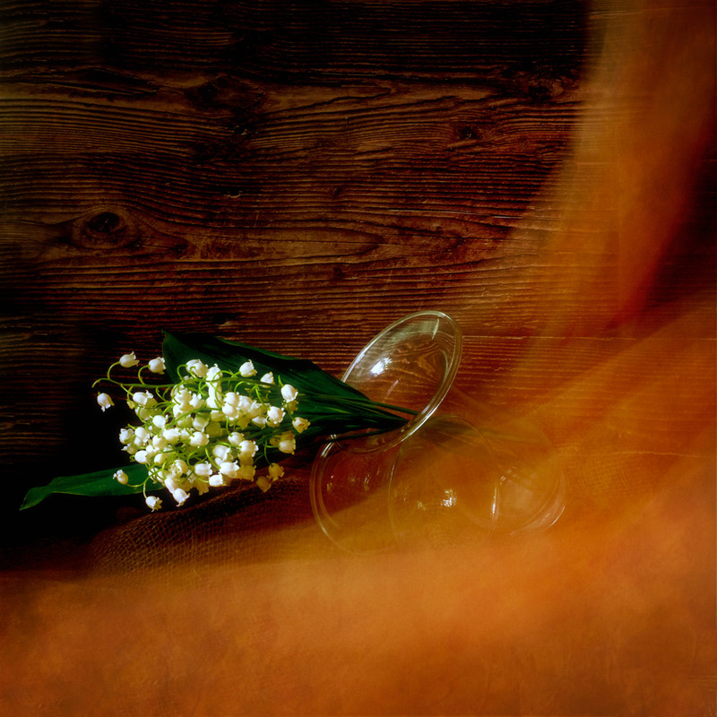 Фотографія Ах, эти ландыши-цветы - Чистейшей нежной красоты! / Tatyana Averina / photographers.ua