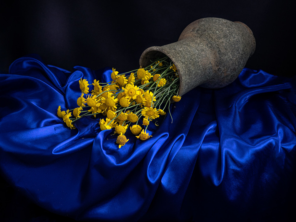 Фотографія С желтыми ромашками... / Tatyana Averina / photographers.ua