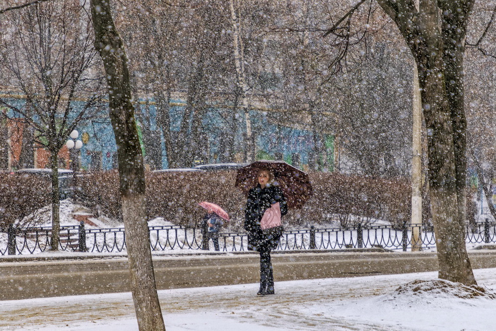 Фотографія Мартовский снегопад. / Чесноков Анатолий / photographers.ua