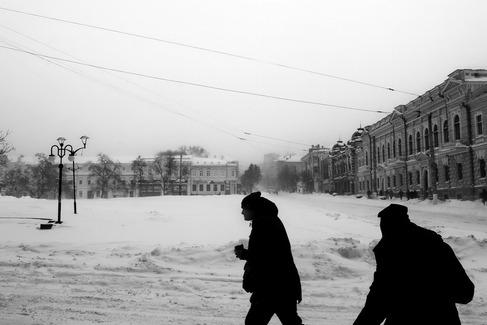 Фотографія Силуети минулої зими / Andriy Gredin / photographers.ua