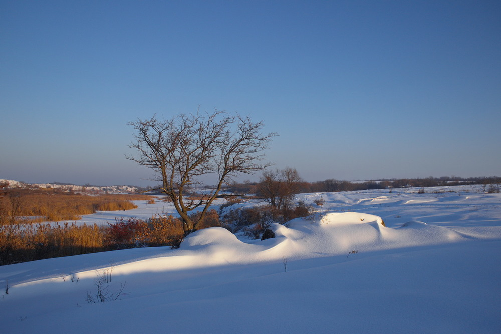 Фотографія В променях зимового сонця... / Andriy Gredin / photographers.ua