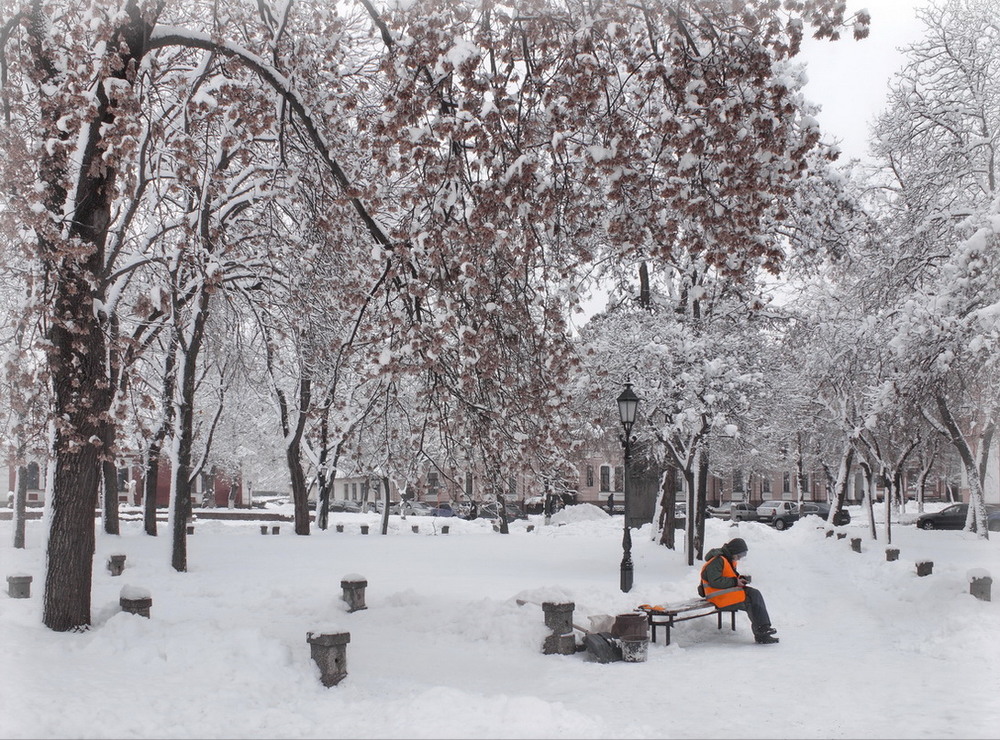 Фотографія Парк. Дівчина. Зима. / Andriy Gredin / photographers.ua