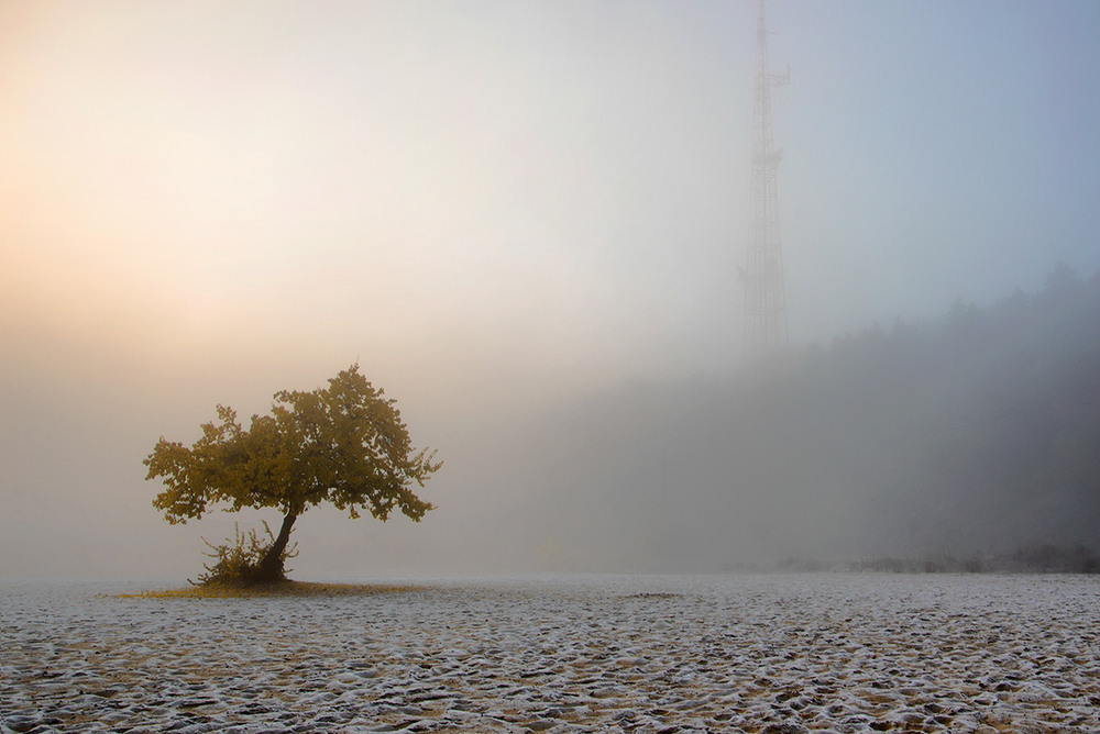 Фотографія Приходит тихо Осень,одетая в туман…... / Lana Kravchenko / photographers.ua