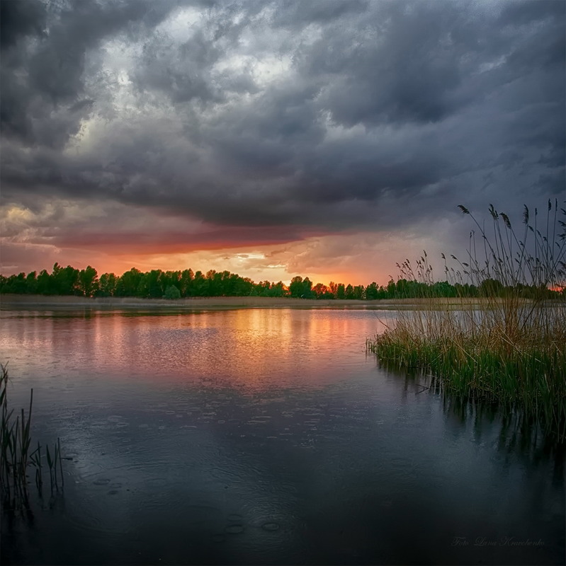 Фотографія Закат на Бобровом озере / Lana Kravchenko / photographers.ua