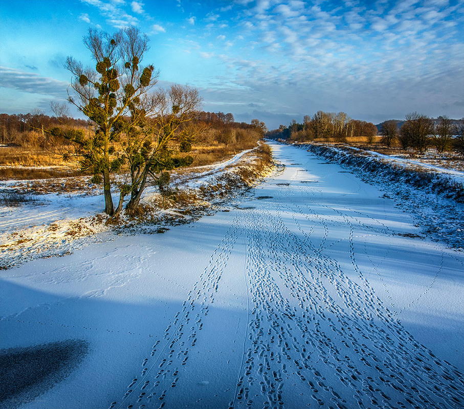 Фотографія Winter ellipsis .... / Lana Kravchenko / photographers.ua