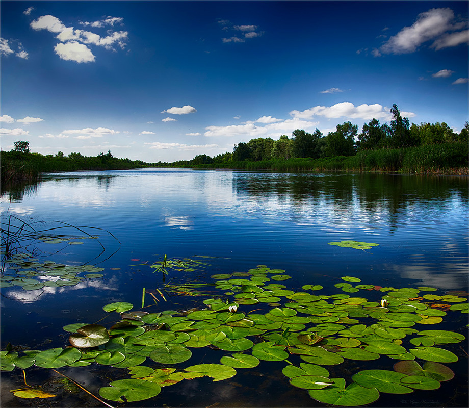 Фотографія Полдень июня на речке Ольшанка / Lana Kravchenko / photographers.ua