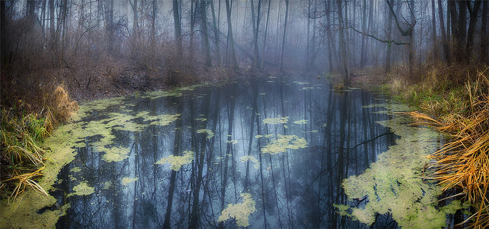 Фотографія Forest Lake / Lana Kravchenko / photographers.ua