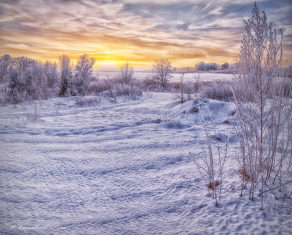 Фотографія Лютневий сніг пахне Весною… / Lana Kravchenko / photographers.ua