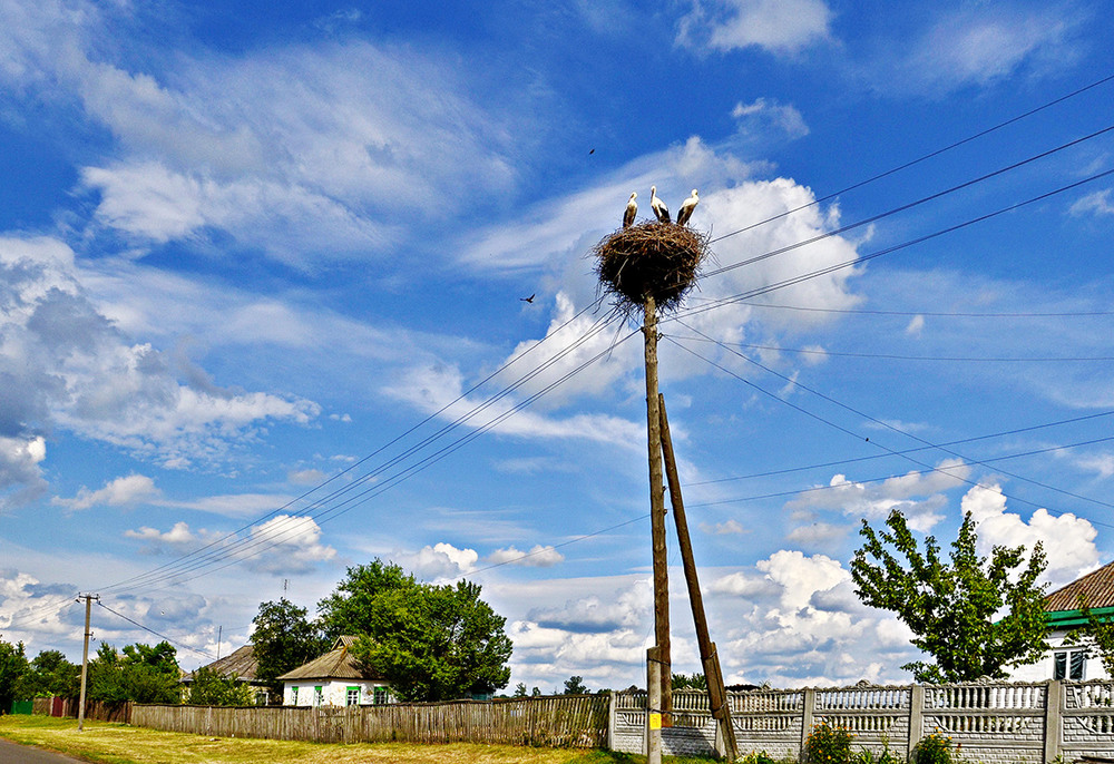 Фотографія Гнездо Аиста возле жилья - счастливая примета! Быть Добру!) / Lana Kravchenko / photographers.ua