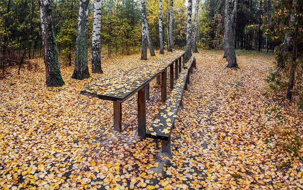 Фотографія Осенний столик...) / Lana Kravchenko / photographers.ua