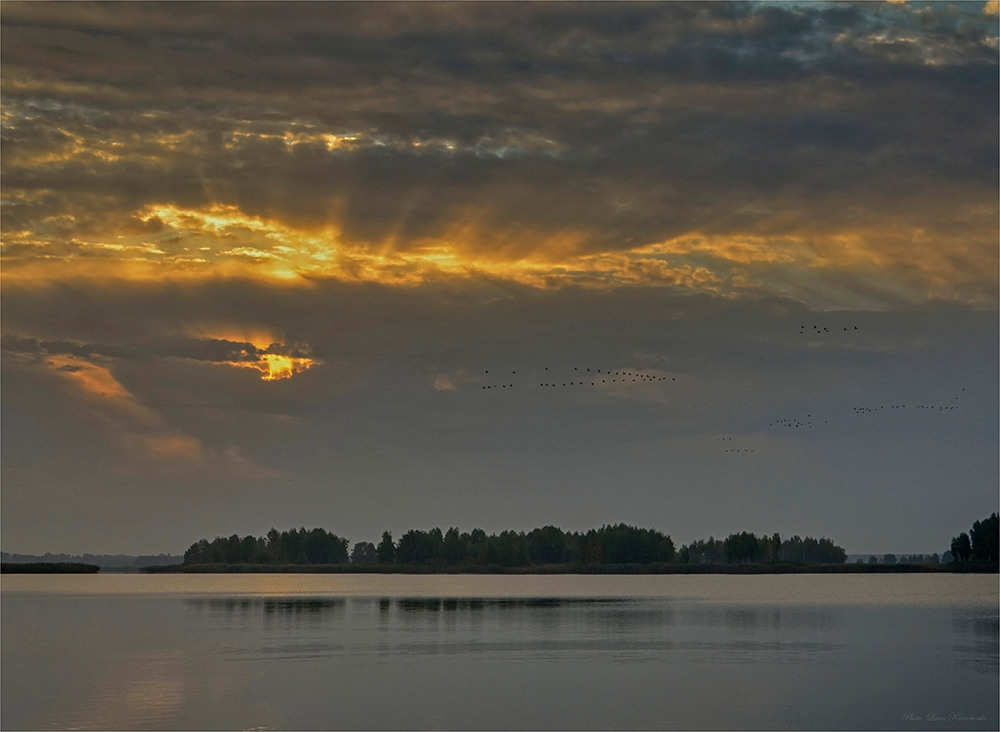 Фотографія Рассветный гомон перелетных птиц / Lana Kravchenko / photographers.ua