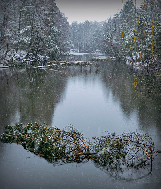 Фотографія Жизнь подобна медленно текущей реке. Все в ней непостоянно, всё течет, всё меняется, всё исчезает. / Lana Kravchenko / photographers.ua