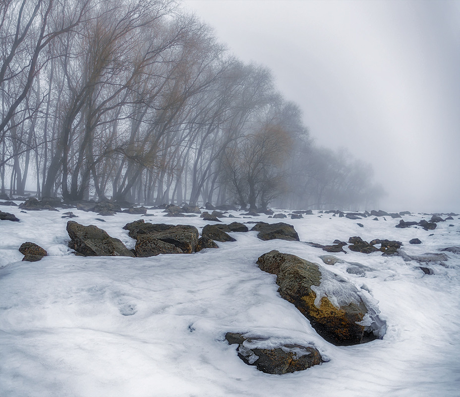 Фотографія Туманний ранок / Lana Kravchenko / photographers.ua