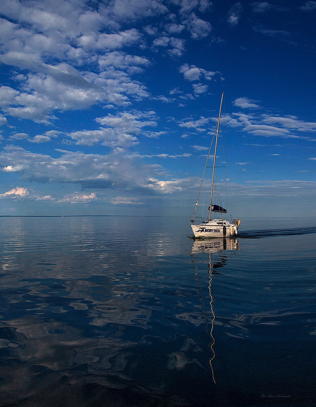 Фотографія Moby Dick / Lana Kravchenko / photographers.ua