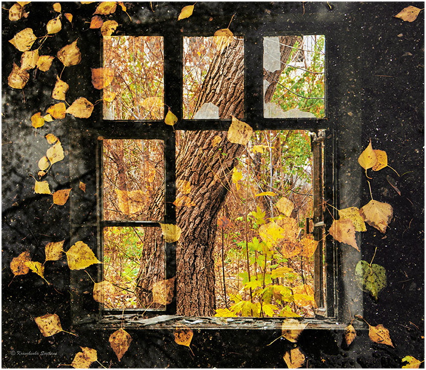 Фотографія Window in Autumn / Lana Kravchenko / photographers.ua