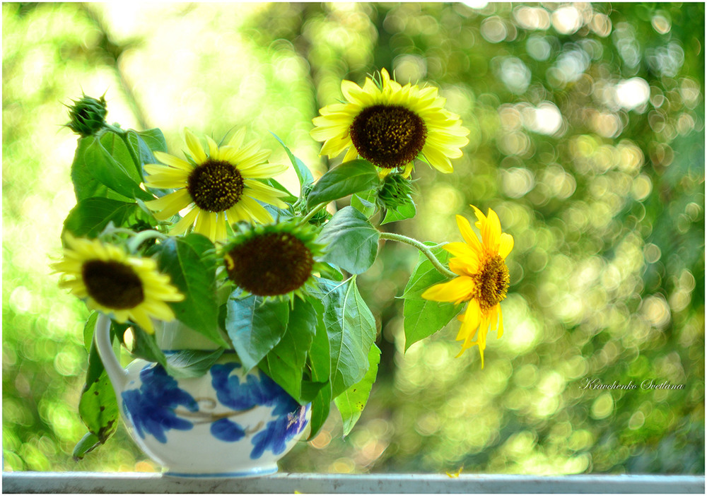 Фотографія Sunflower bouquet / Lana Kravchenko / photographers.ua