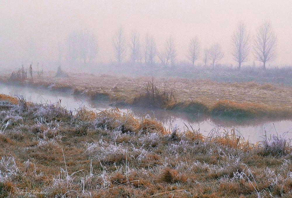 Фотографія Утро таяло в тумане... / Lana Kravchenko / photographers.ua