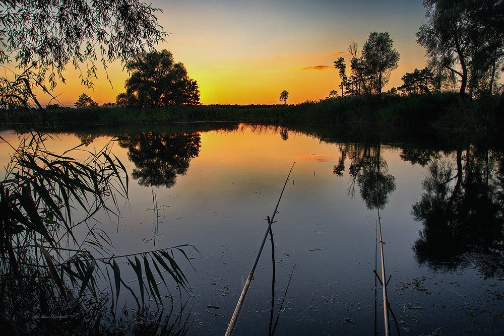 Фотографія Вечерняя рыбалка / Lana Kravchenko / photographers.ua