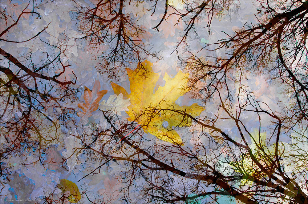 Фотографія Дни как листья... облетают, тают, тают... / Lana Kravchenko / photographers.ua