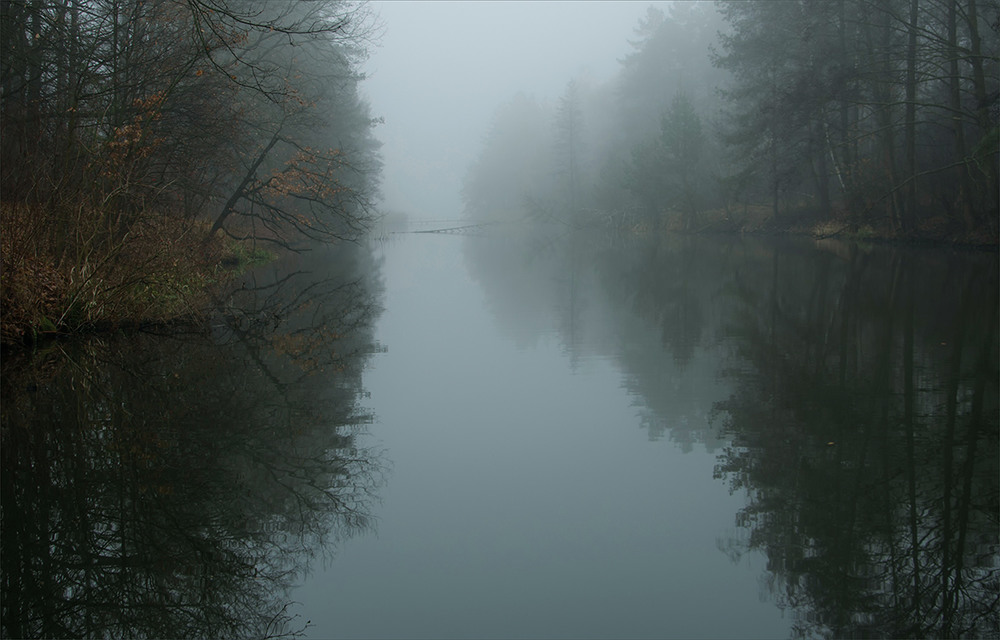 Фотографія Люблю задумчивый туман... / Lana Kravchenko / photographers.ua